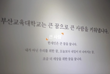미디어